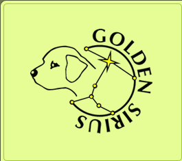 Golden Sirius – Chovná stanice plemena psů Zlatý retrívr