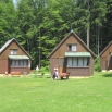 Albeř 2010
