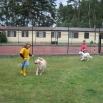 10_vystava.JPG - 