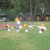 13_2010.JPG - 