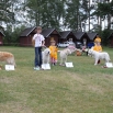 17_2010.JPG - 