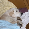 9_odpocinek.JPG - 