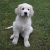listopad 2011 - 