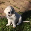 listopad 2011 - 