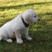 listopad 2011 - 