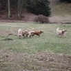IMG_3259.JPG - společně