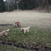 IMG_3264.JPG - 