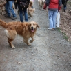 IMG_3266.JPG - Buddy