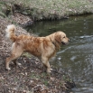 IMG_3290.JPG - Buddy