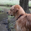 IMG_3298.JPG - Benji