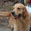 IMG_3322.JPG - Buddy