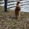 IMG_3387.JPG - Buddy