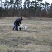 IMG_0613.JPG - 