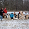 20130113_008[1].jpg - 
