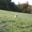IMG_0210.JPG - 