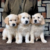 DSC_0114.JPG - 