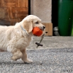 Eddy neboli Max - 