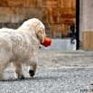 DSC_0144.JPG - 