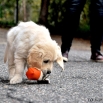 DSC_0148.JPG - 