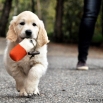 Erny - 