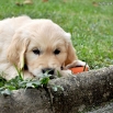 DSC_0166.JPG - 