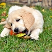 DSC_0178.JPG - 