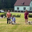 IMG_9703.JPG - 
