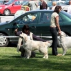 Mezinárodní výstava psů České Budějovice duben 2009