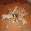 4tyd-3.jpg - 