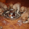 4tyd-4.jpg - 