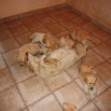 7-tyd-1.jpg - 