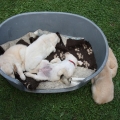 siesta.jpg 