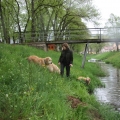 IMG_9305.JPG 
