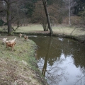 IMG_3247.JPG 