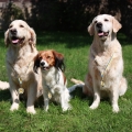 IMG_2280.JPG 