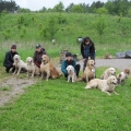 26.5.2013 - Společné foto Clif, Felinka, Benji, Dorinka, Berry, Sára, Any, Tess + páníci