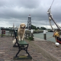 Enkhuizen - <html />