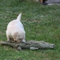 IMG_0073.JPG 