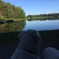 Romanitka u vody 