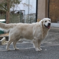 Christopher 