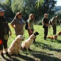 IMG_2565.JPG 