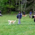 10.jpg 10.jpg